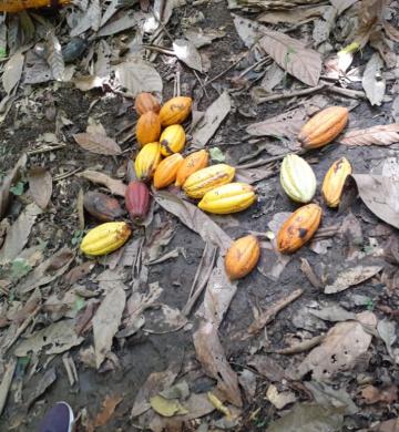 Img 20200302 Wa0015