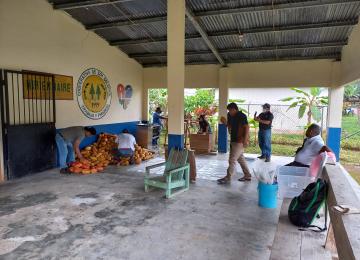 Estudio De 1