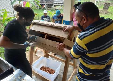 Estudio de Fermentación y Secado